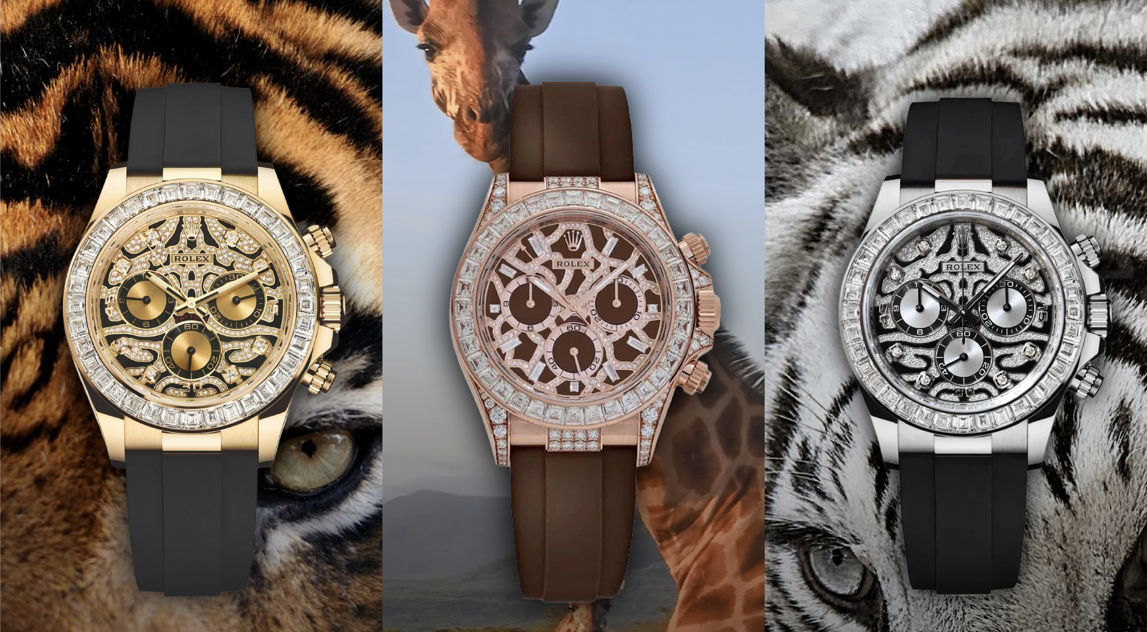 Soprannomi Rolex Daytona: Eye of the Tiger e Giraffe