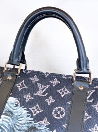 Keepall 55 Chapman Brothers Savana Ink Lion — foto 6