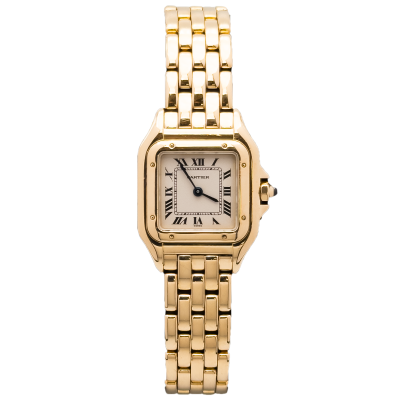 Panthere SM - 10702