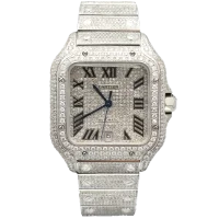 Santos L ICE - WSSA0018 — foto 1